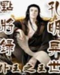 重生之孔明異世點將錄